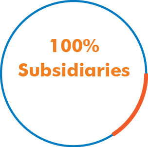 100% Subsidiaries